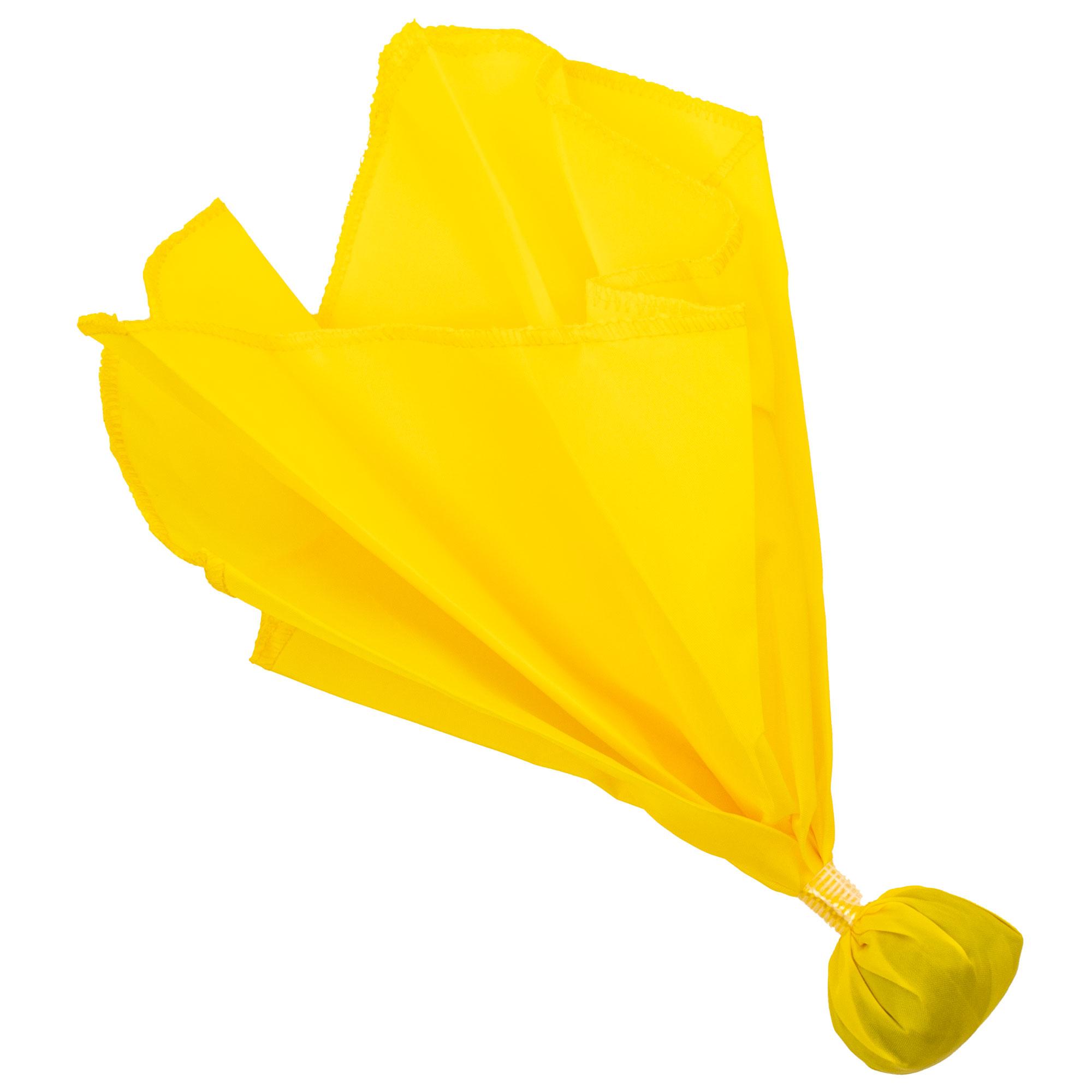 Professional Penalty Flag