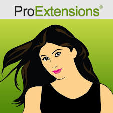 Pro Extensions #4/27 Dark Brown w/ Godlen Blonde Highlights - 14 inch