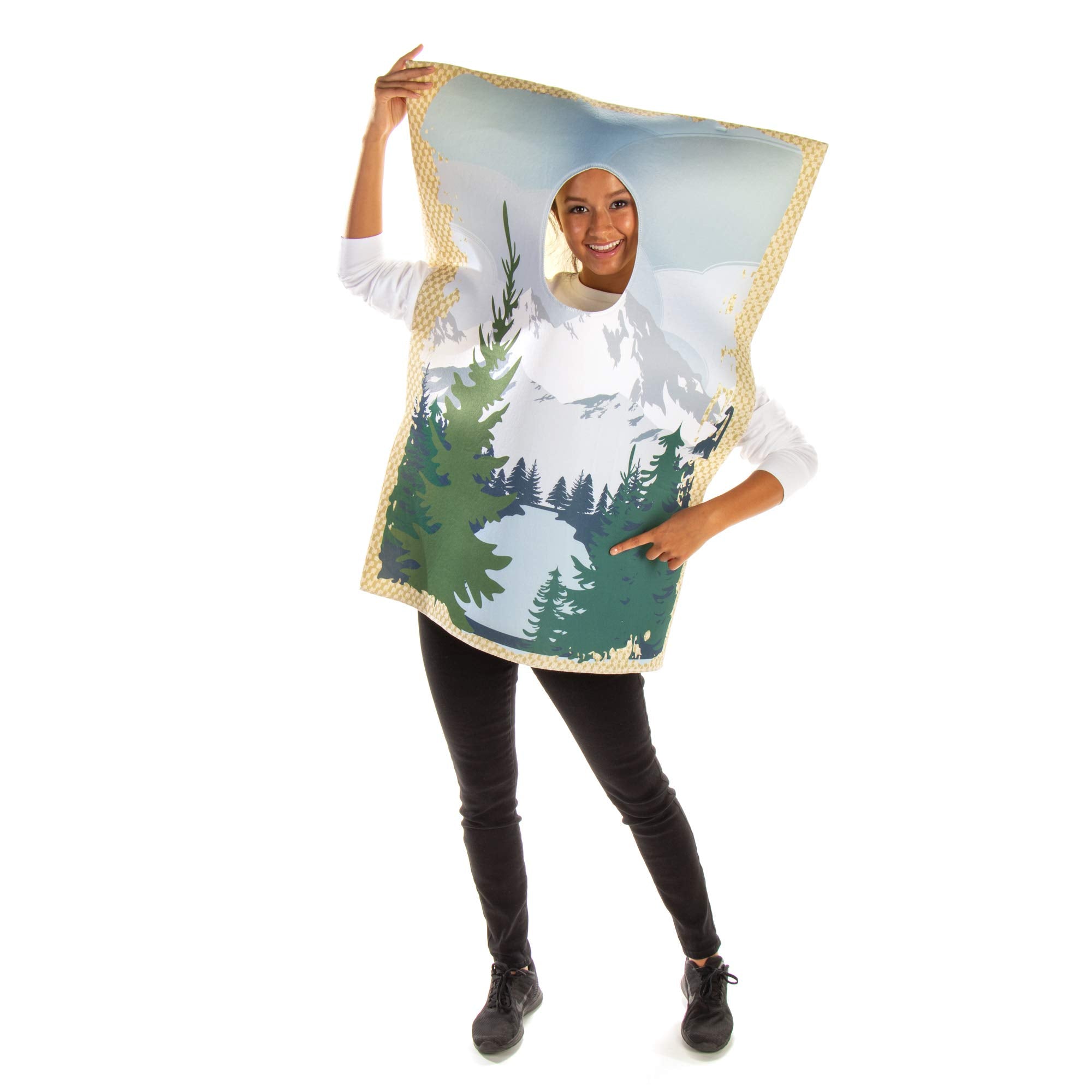 Mona Lisa Painting Costume