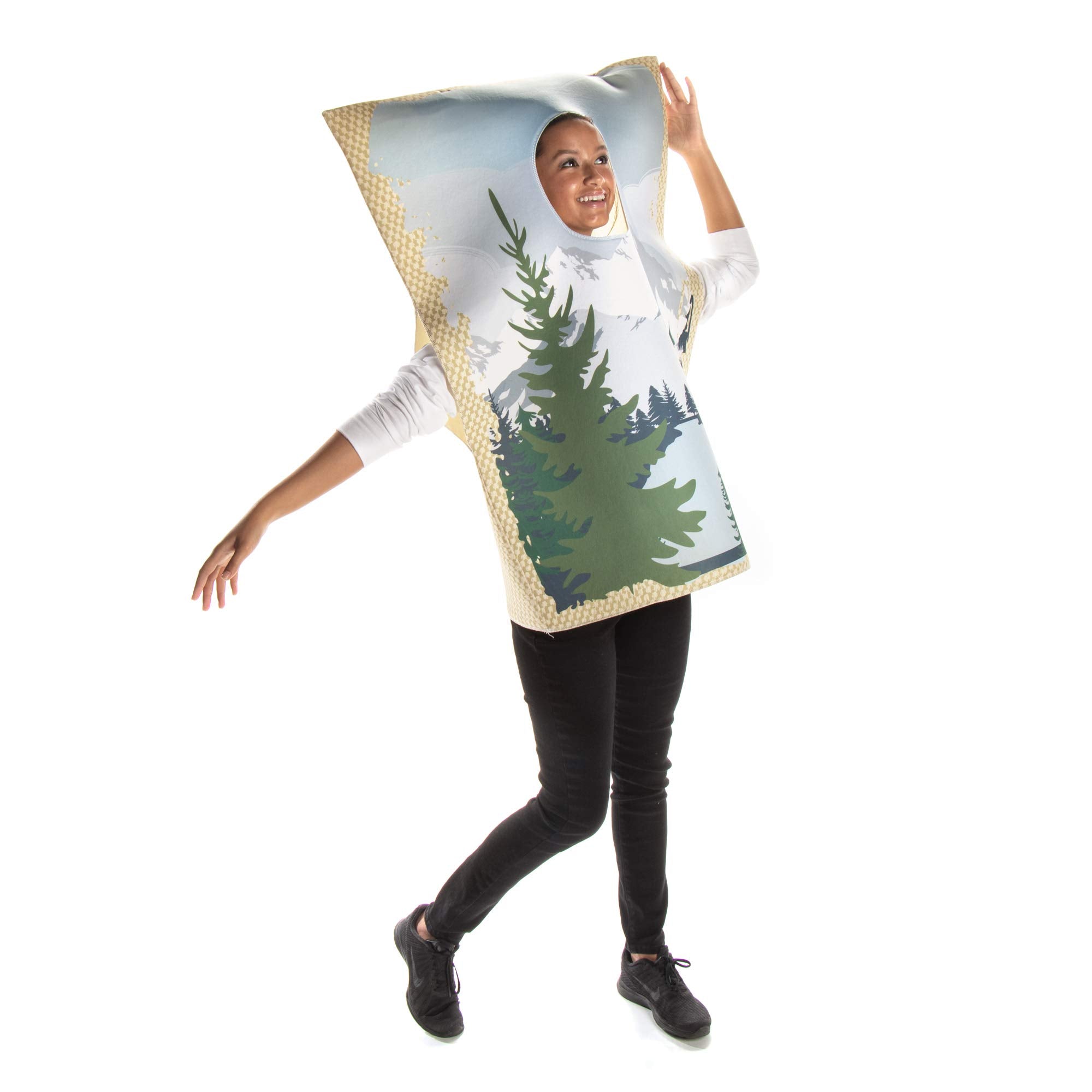 Mona Lisa Painting Costume