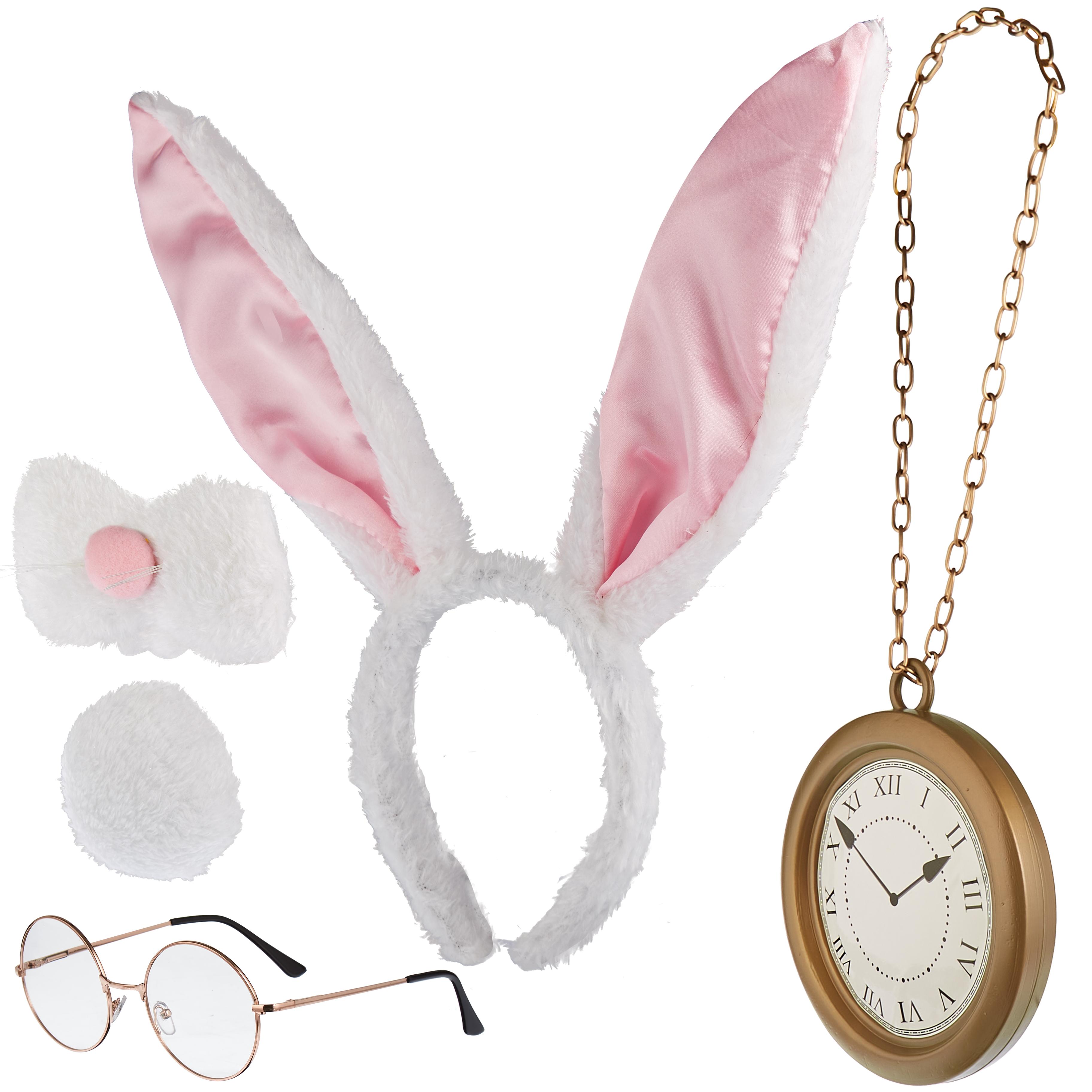 Wonderland Rabbit Accessory Kit