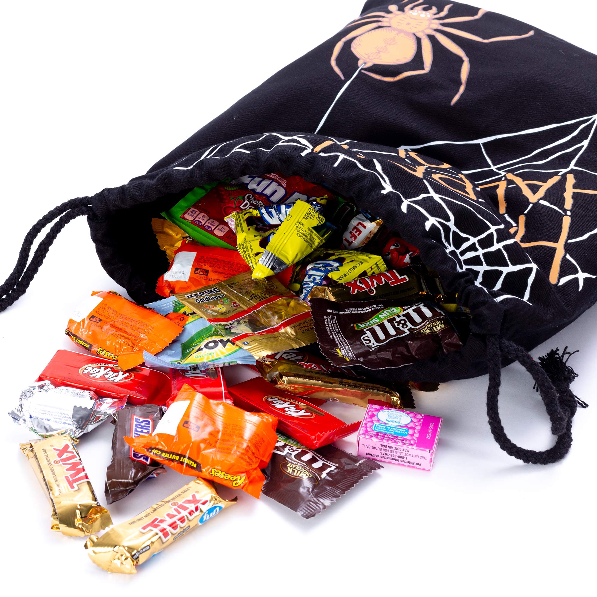 Spider Web Canvas Trick or Treat Bag