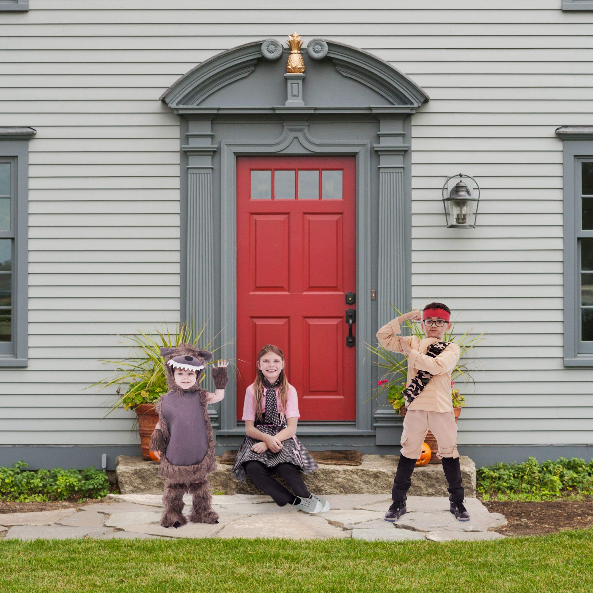 Furry Wolf Toddler Costume