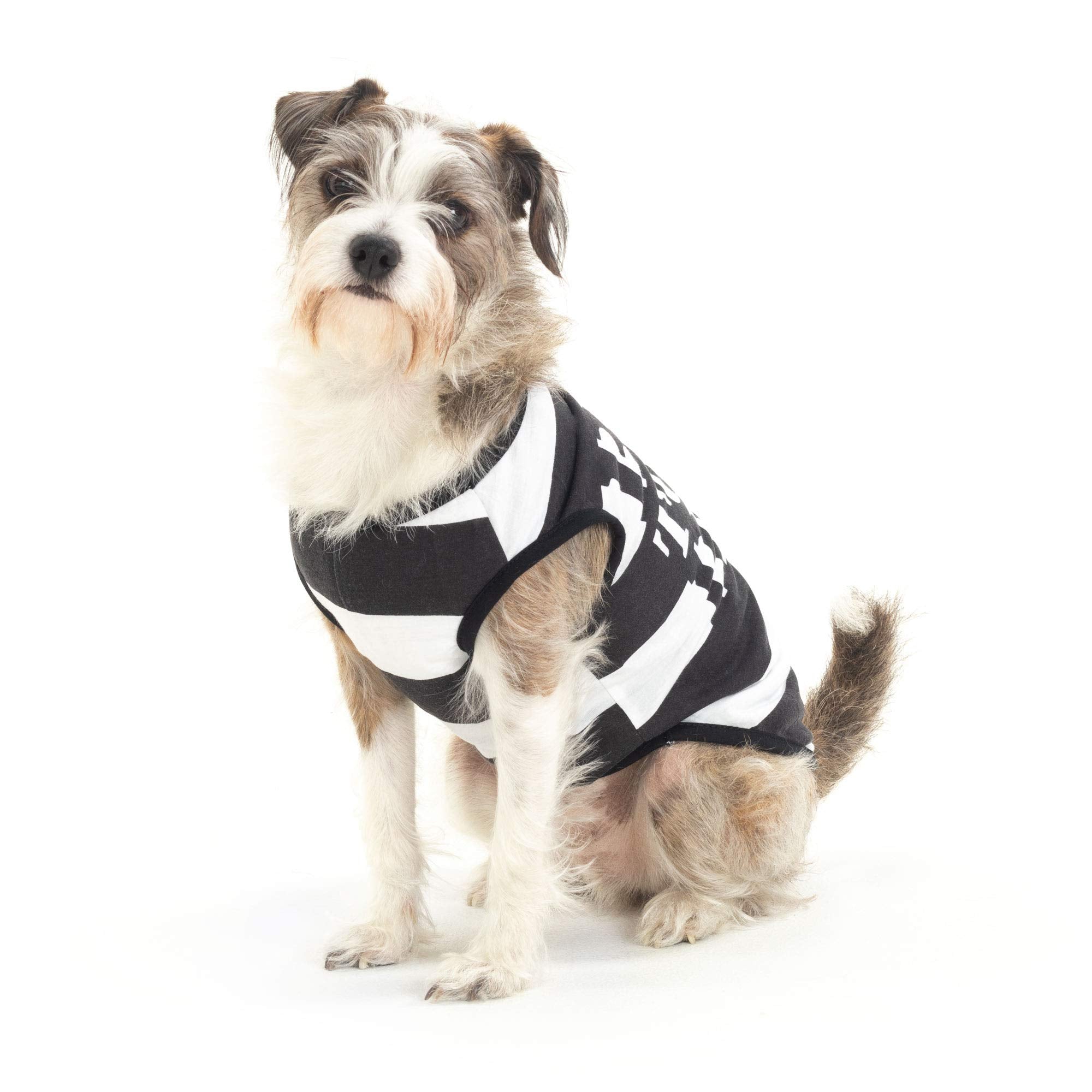 Bad to the Bone Dog Costume (Improved Sizing)